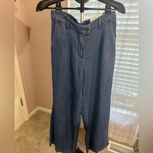 American Eagle Drapey Wide Leg Blue Trousers